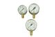 MANOM.0-315 DN63 AR/N2 1/4 G            
